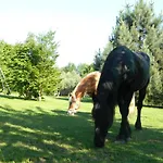 Eco-resort Parco Botanico Fiorlago 4* Mergozzo