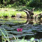Eco-resort Parco Botanico Fiorlago Mergozzo