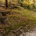Eco-resort Parco Botanico Fiorlago Nocleg ze śniadaniem Mergozzo