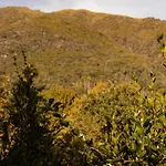 Eco-resort Parco Botanico Fiorlago 4*