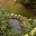 Nocleg ze śniadaniem Eco-resort Parco Botanico Fiorlago