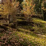 Bed & Breakfast Eco-resort Parco Botanico Fiorlago 4*