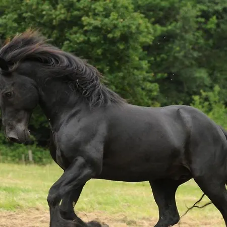 Eco-resort Parco Botanico Fiorlago