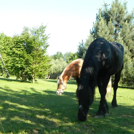 Eco-resort Parco Botanico Fiorlago 3* Mergozzo