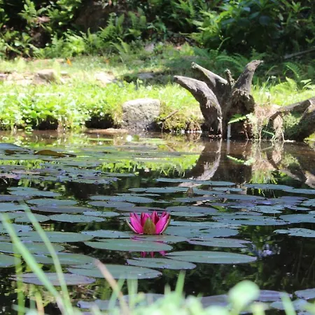 Eco-resort Parco Botanico Fiorlago מרגוצו