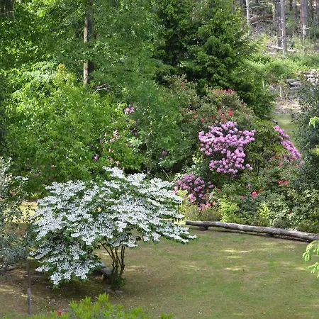 Eco-resort Parco Botanico Fiorlago Nocleg ze śniadaniem 3*