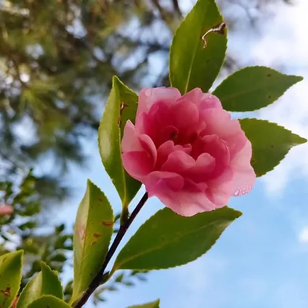 Eco-resort Parco Botanico Fiorlago