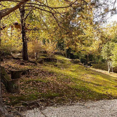 Bed & Breakfast Eco-resort Parco Botanico Fiorlago Mergozzo