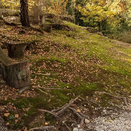 Eco-resort Parco Botanico Fiorlago Nocleg ze śniadaniem Mergozzo