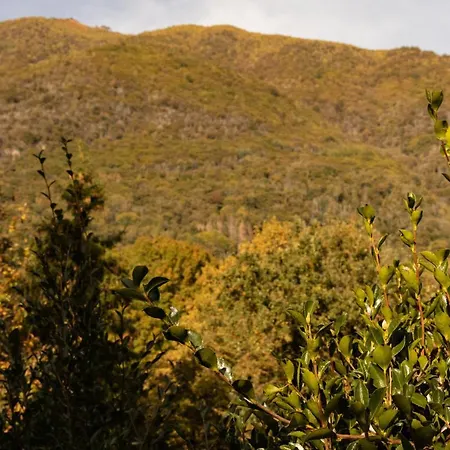 Eco-resort Parco Botanico Fiorlago 4*