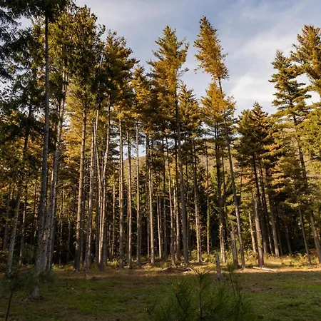 Nocleg ze śniadaniem Eco-resort Parco Botanico Fiorlago Mergozzo