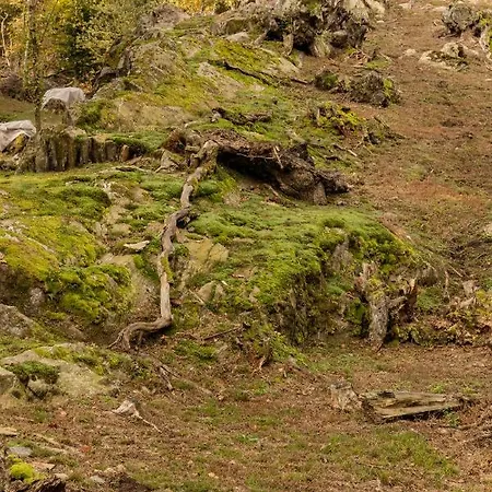 Eco-resort Parco Botanico Fiorlago