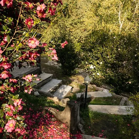 Eco-resort Parco Botanico Fiorlago 4*