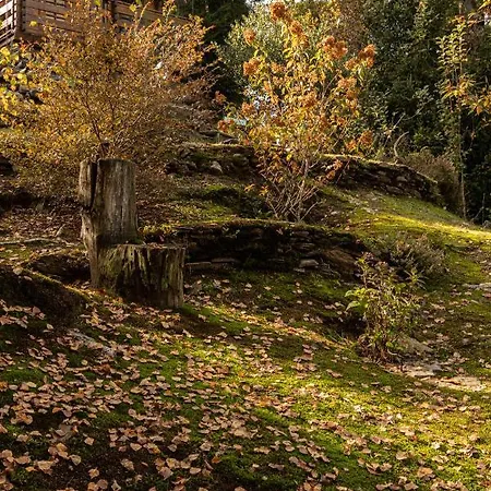 Bed and Breakfast Eco-resort Parco Botanico Fiorlago 4*
