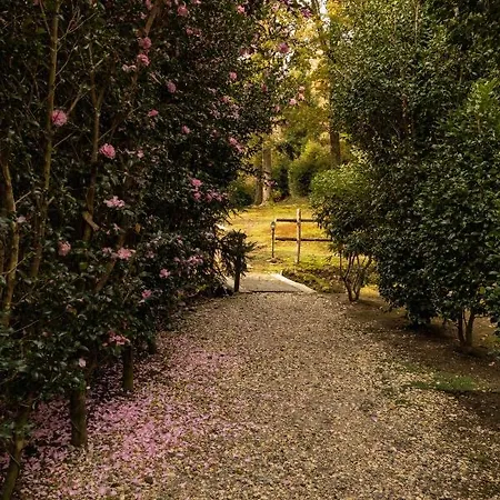 Eco-resort Parco Botanico Fiorlago Bed and Breakfast