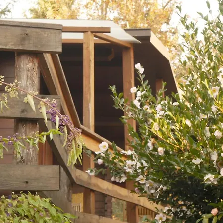 Nocleg ze śniadaniem Eco-resort Parco Botanico Fiorlago 4*