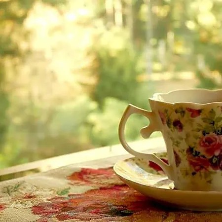 Eco-resort Parco Botanico Fiorlago Bed and Breakfast Mergozzo
