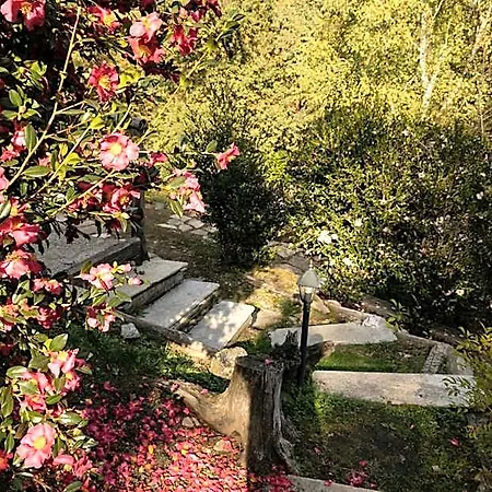 Eco-resort Parco Botanico Fiorlago Bed and Breakfast