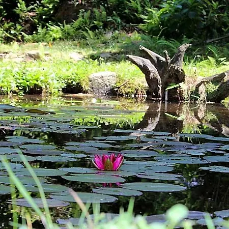 Eco-resort Parco Botanico Fiorlago Bed and Breakfast