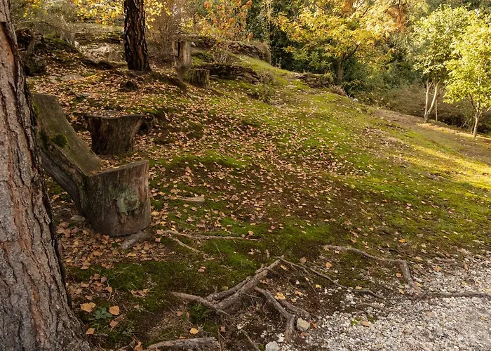 Eco-resort Parco Botanico Fiorlago Bed & Breakfast Mergozzo